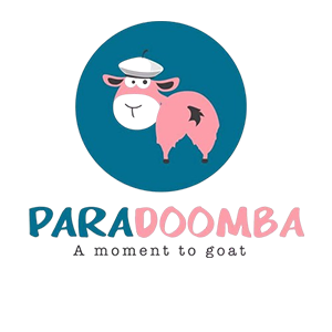 Paradoomba Activities