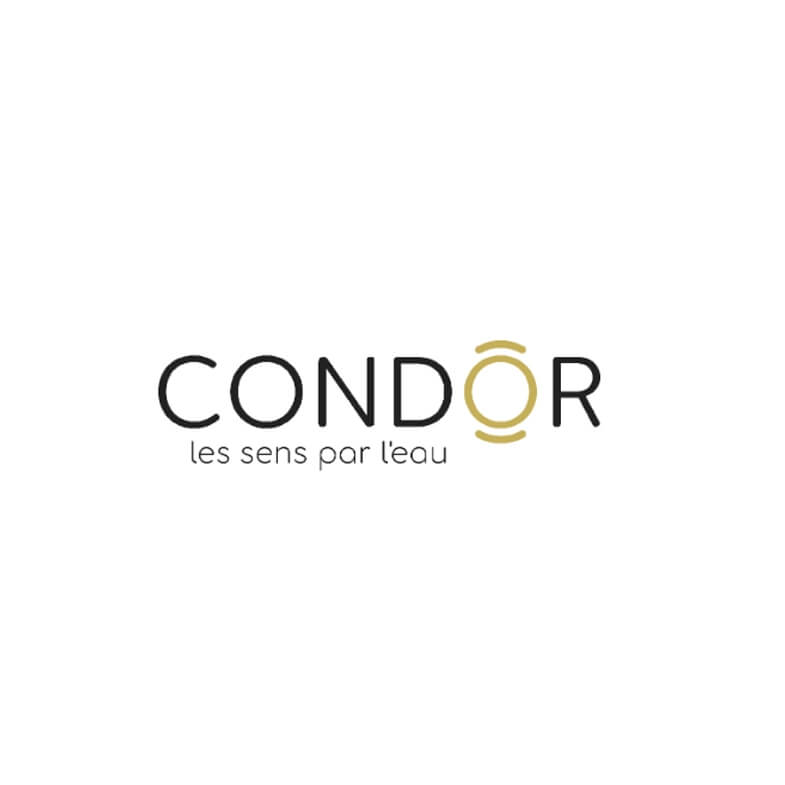 Template website setup for Condor Balneo in France