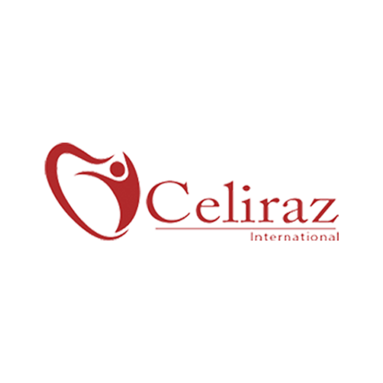 Website design and development for Celiraz International
