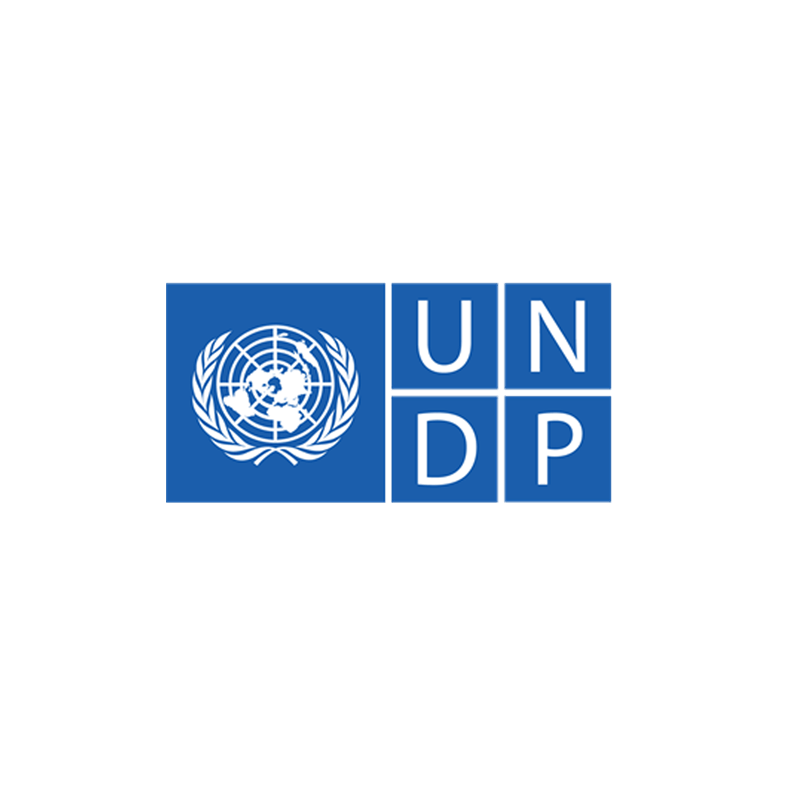 Administrating Facebook and Google Ads for UNDP, and facilitating their payments